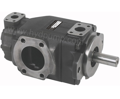 Desion double vane pump